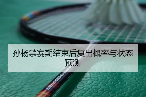 孙杨禁赛期结束后复出概率与状态预测