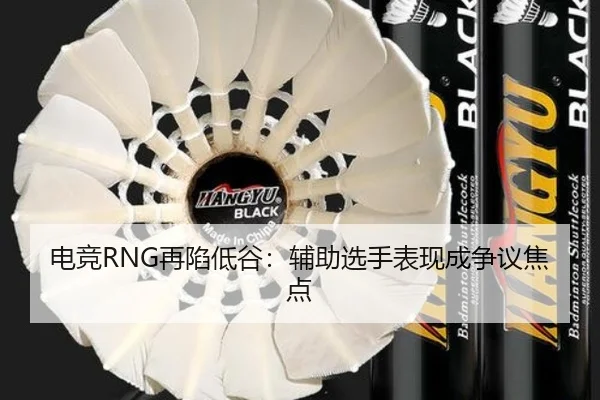 电竞RNG再陷低谷:辅助选手表现成争议焦点